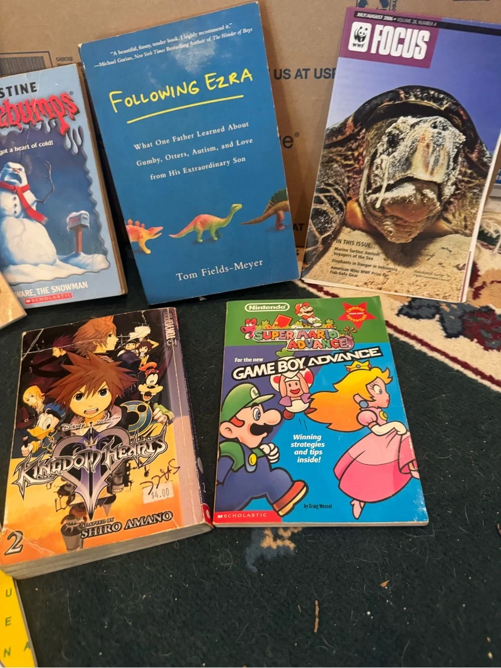 Assorted Kids Books Collection - Mixed Colors